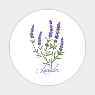 Lavender Summer 2020 Violet Flowers Vintage  t-shirt Magnet